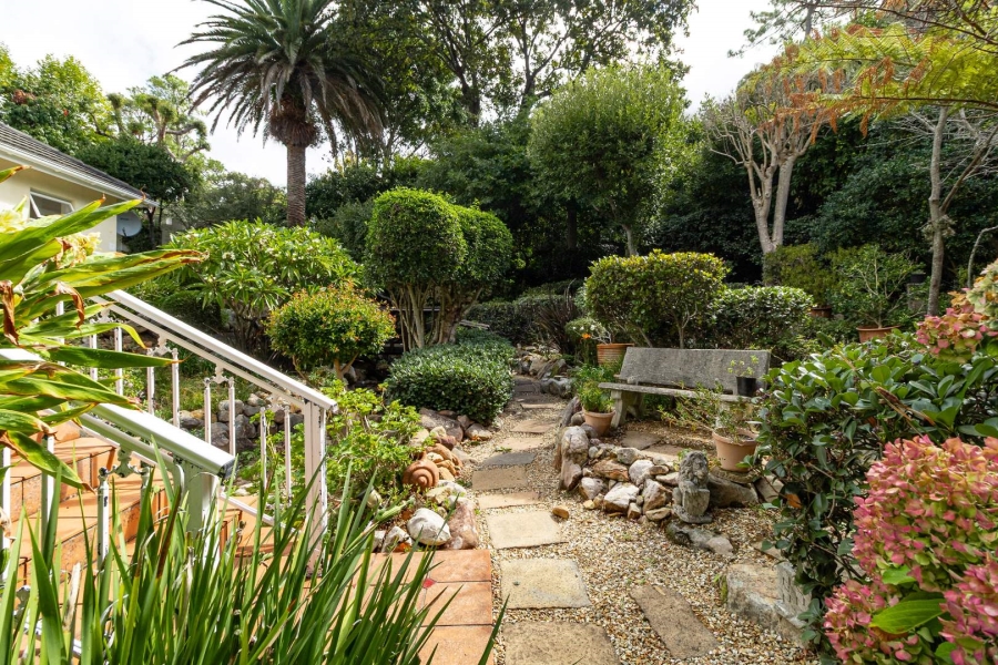 To Let 3 Bedroom Property for Rent in Newlands Western Cape